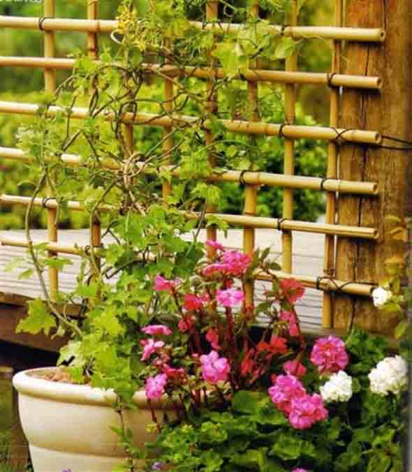 Treliças para enfeitar o jardim e a casa Enfeite De Jardin ~ Treliças para enfeitar o jardim e a casa
