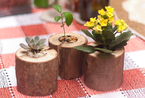 Vasos feitos de pedaços de troncos